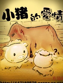 布袋猪幸福手记