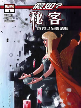 假如？秘客成为了至尊法师