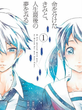 与分享生命的你做人生最后的梦