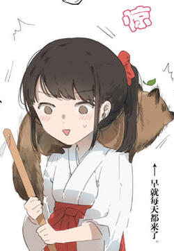 一直投食的狸猫是妖怪狸猫