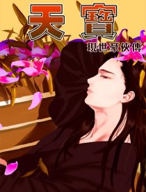 天宝（现世豪侠传）