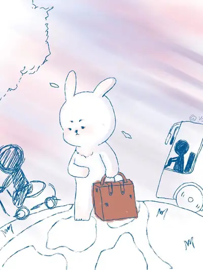 兔子先生的日常