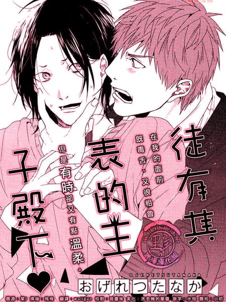 徒有其表的王子殿下